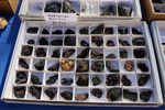 XIV Mesa de Intercambio de Minerales y Fósiles de Alicante