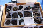 XIV Mesa de Intercambio de Minerales y Fósiles de Alicante