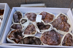 XIV Mesa de Intercambio de Minerales y Fósiles de Alicante