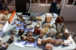XIV Mesa de Intercambio de Minerales y Fósiles de Alicante