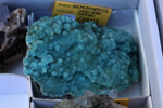 XIV Mesa de Intercambio de Minerales y Fósiles de Alicante