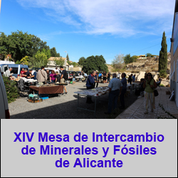 XIV Mesa de Intercambio de Minerales y Fósiles de Alicante