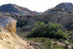 Lagunas de Rabasa. Poligona San Blas. Rabasa. Alicante
