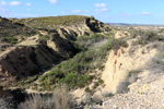 Lagunas de Rabasa. Poligona San Blas. Rabasa. Alicante