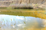  Lagunas de Rabasa. Poligona San Blas. Rabasa. Alicante