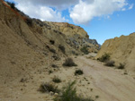 Lagunas de Rabasa. Poligona San Blas. Rabasa. Alicante