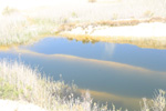   Lagunas de Rabasa. Poligona San Blas. Rabasa. Alicante