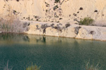  Lagunas de Rabasa. Poligona San Blas. Rabasa. Alicante 
