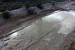  Lagunas de Rabasa. Poligona San Blas. Rabasa. Alicante