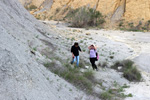  Lagunas de Rabasa. Poligona San Blas. Rabasa. Alicante