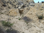 Lagunas de Rabasa. Poligona San Blas. Rabasa. Alicante