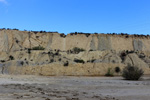  Lagunas de Rabasa. Poligona San Blas. Rabasa. Alicante