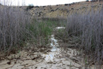  Lagunas de Rabasa. Poligona San Blas. Rabasa. Alicante