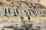   Lagunas de Rabasa. Poligona San Blas. Rabasa. Alicante