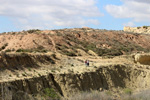  Lagunas de Rabasa. Poligona San Blas. Rabasa. Alicante