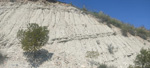 Embalse los Rodeos. Torres de Cotillas. Murcia