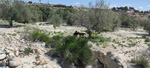  Embalse los Rodeos. Torres de Cotillas. Murcia 