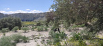Embalse los Rodeos. Torres de Cotillas. Murcia