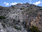 Doleritas de los Vives. Los Vives. Orihuela. Alicante