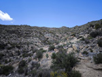 Doleritas de los Vives. Los Vives. Orihuela. Alicante