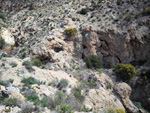 Doleritas de los Vives. Los Vives. Orihuela. Alicante