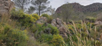 Dolomita.  Pitón volcánico de Cancarix. Hellín. Albacete