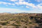 Lagunas de Rabasa. Poligona San Blas. Rabasa. Alicante