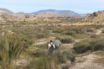 Lagunas de Rabasa. Poligona San Blas. Rabasa. Alicante
