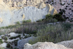 Lagunas de Rabasa. Poligona San Blas. Rabasa. Alicante