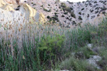  Lagunas de Rabasa. Poligona San Blas. Rabasa. Alicante 