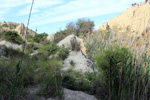 Lagunas de Rabasa. Poligona San Blas. Rabasa. Alicante