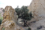  Lagunas de Rabasa. Poligona San Blas. Rabasa. Alicante