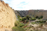  Lagunas de Rabasa. Poligona San Blas. Rabasa. Alicante