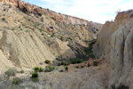  Lagunas de Rabasa. Poligona San Blas. Rabasa. Alicante