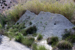  Lagunas de Rabasa. Poligona San Blas. Rabasa. Alicante