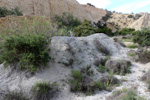  Lagunas de Rabasa. Poligona San Blas. Rabasa. Alicante