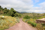 Mina Segunda Murcia (Mina del Saltador). Rambla de los Diecisiete Arcos/Cortijo del Saltador, Lorca, Murcia