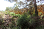 Mina Segunda Murcia (Mina del Saltador). Rambla de los Diecisiete Arcos/Cortijo del Saltador, Lorca, Murcia