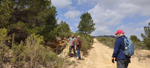  Mina Segunda Murcia (Mina del Saltador). Rambla de los Diecisiete Arcos/Cortijo del Saltador, Lorca, Murcia