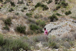Minería de azufre. La Serrata, Lorca, Murcia