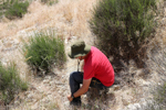 Minería de azufre. La Serrata, Lorca, Murcia