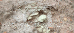 Minería de azufre. La Serrata, Lorca, Murcia
