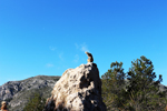 Cantera de Ofitas. Sierra de Olta. Calpe