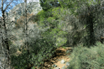  Cantera de Ofitas. Sierra de Olta. Calpe