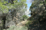  Cantera de Ofitas. Sierra de Olta. Calpe