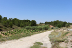  Afloramiento de Aragonitos. Casas de Ves. Albacete
