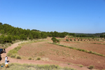 Afloramiento de Aragonitos. Casas de Ves. Albacete