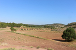 Afloramiento de Aragonitos. Casas de Ves. Albacete