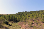 Afloramiento de Aragonitos. Casas de Ves. Albacete