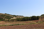  Afloramiento de Aragonitos. Casas de Ves. Albacete